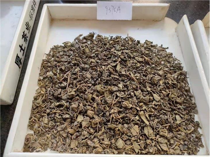 buy Gunpowder Tea