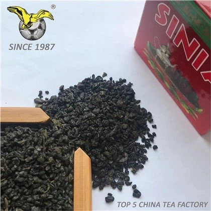 TE 4011 SINIA