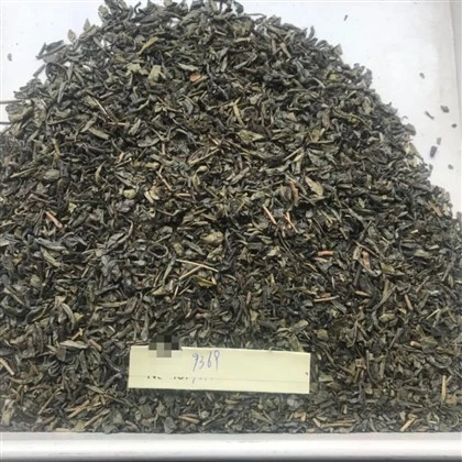 Chunmee Tea 9369 barat Uzbekistan Afganistan de fàbrica xinesa